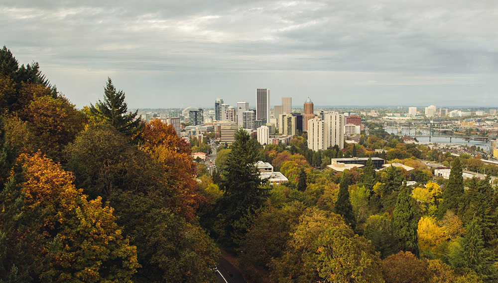 aerial view of Portland