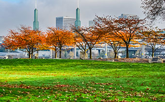Tom McCall Waterfront Park