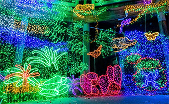 Christmas light display Oregon Zoo